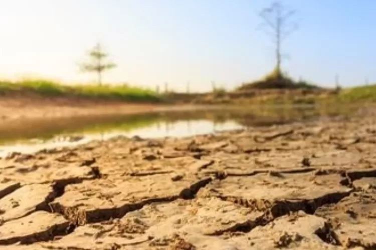 Dampak Memprihatinkan Banjir dan Kekeringan di Desa Tanjungsari