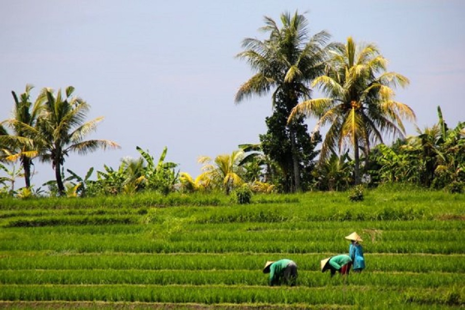 Optimalisasi Sumber Daya Alam: Kunci Menuju Desa Mandiri dan Berkelanjutan