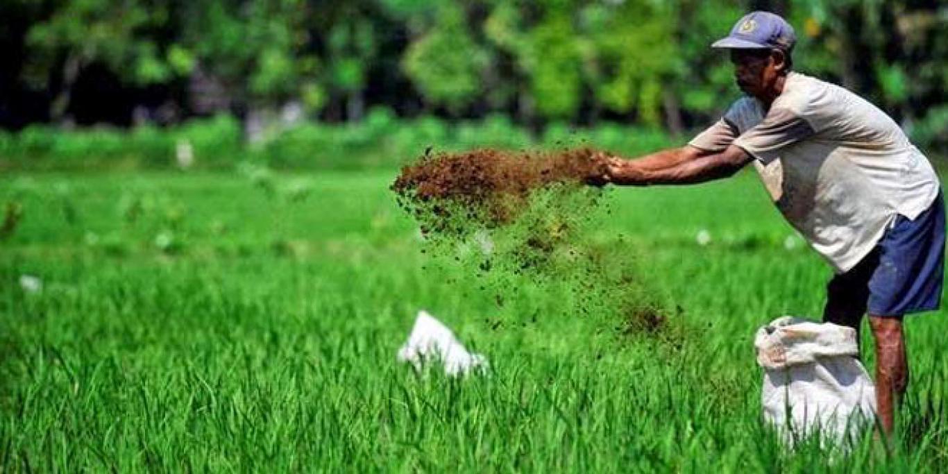Praktik Pertanian Berkelanjutan: Kunci Keamanan Pangan di Desa Tanjungsari