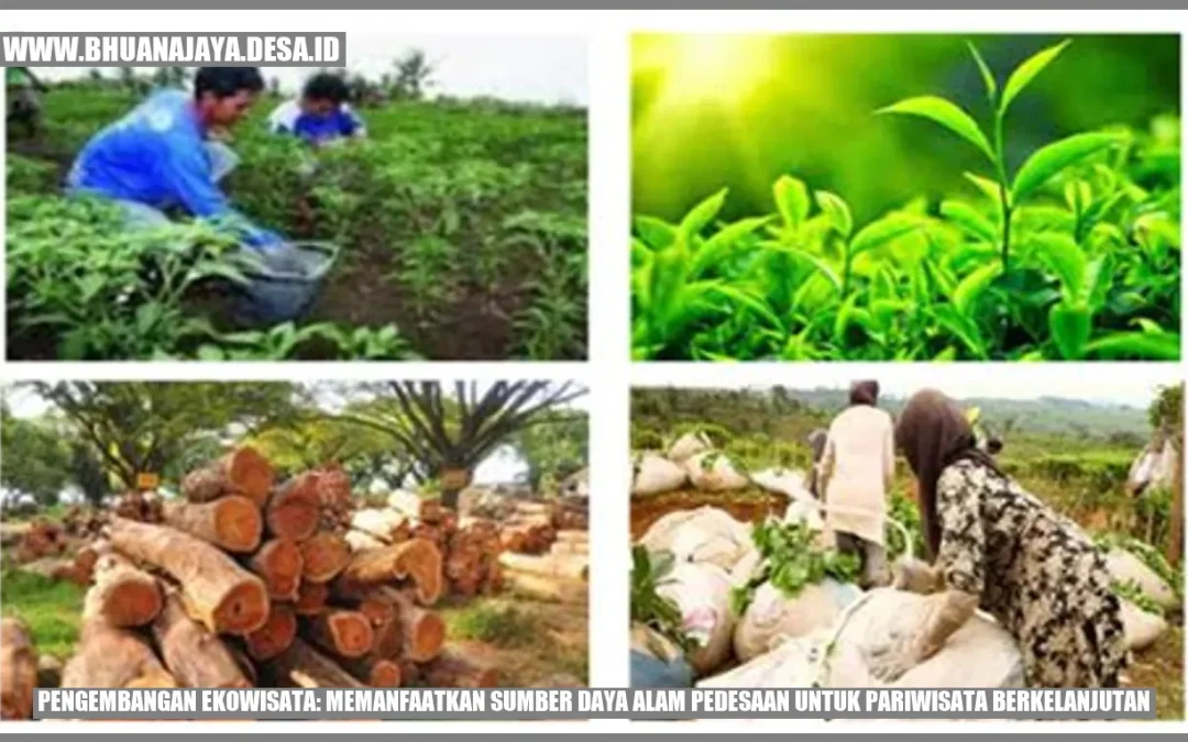 Ekowisata: Solusi Berkelanjutan untuk Pariwisata Desa Tanjungsari