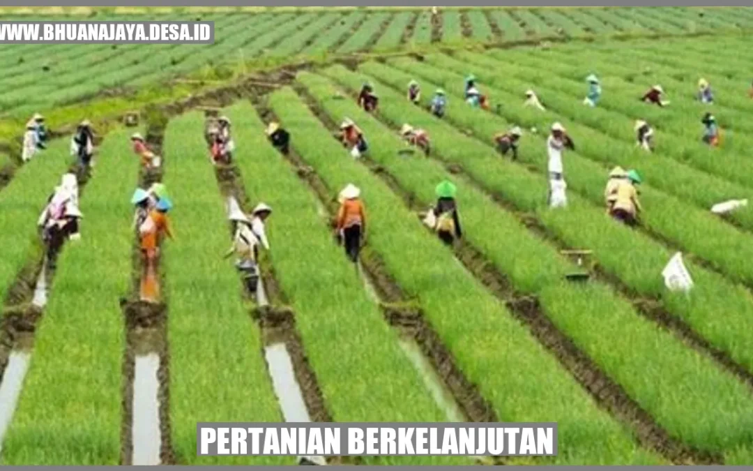 Agropedia: Pertanian Berkelanjutan, Solusi Memantapkan Hasil Bumi Desa Tanjungsari