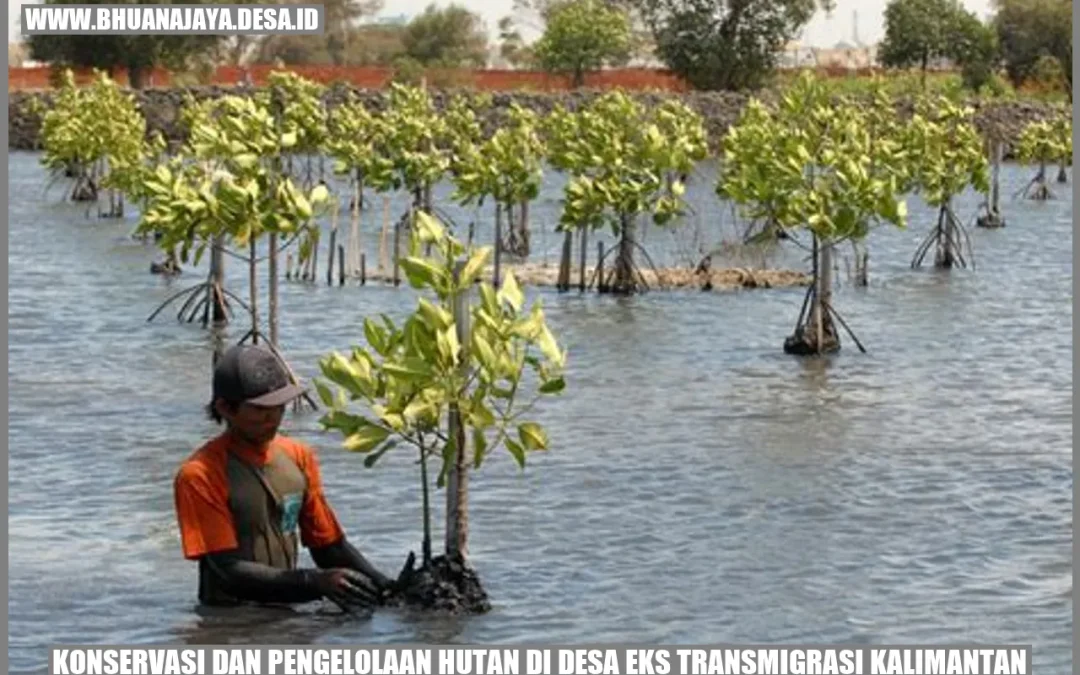 Konservasi Alam Desa Tanjungsari: Langkah Nyata Menjaga Hutan dan Sumber Daya Alam