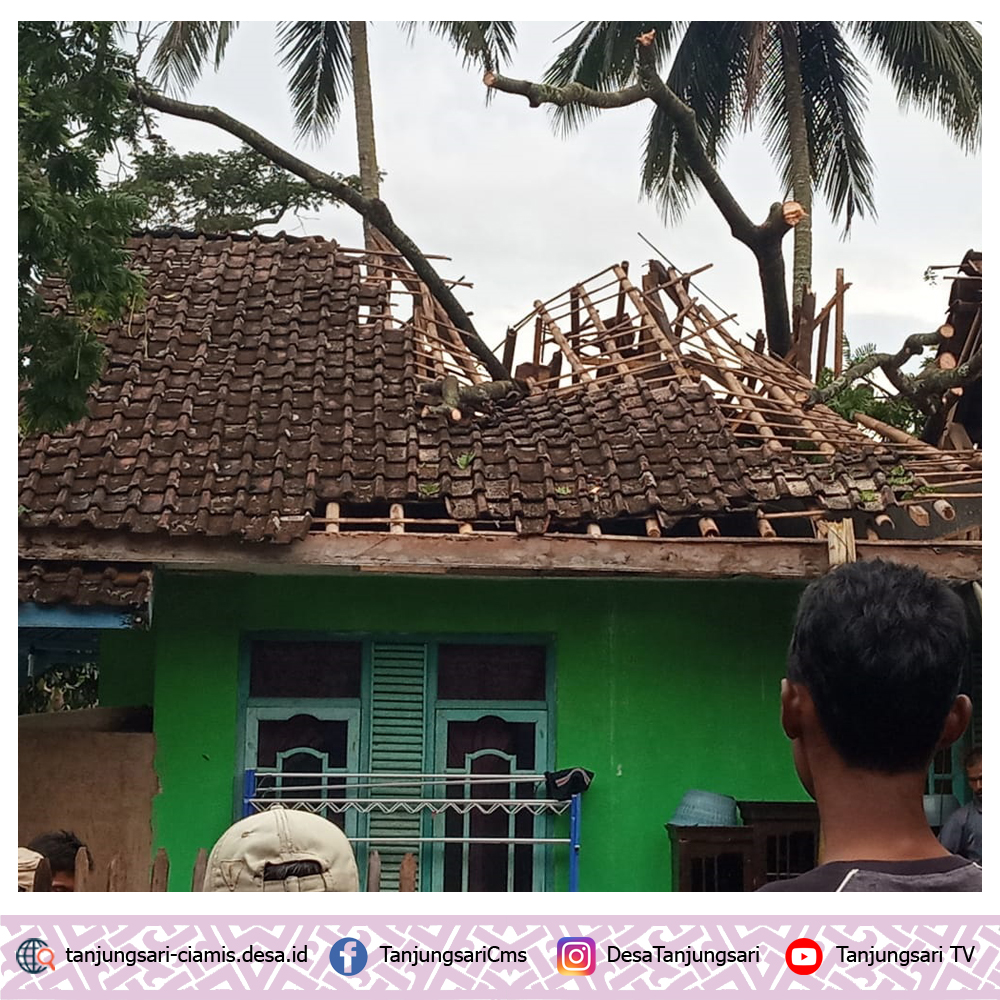 Dua Rumah Warga Desa Tanjungsari Tertimpa Pohon